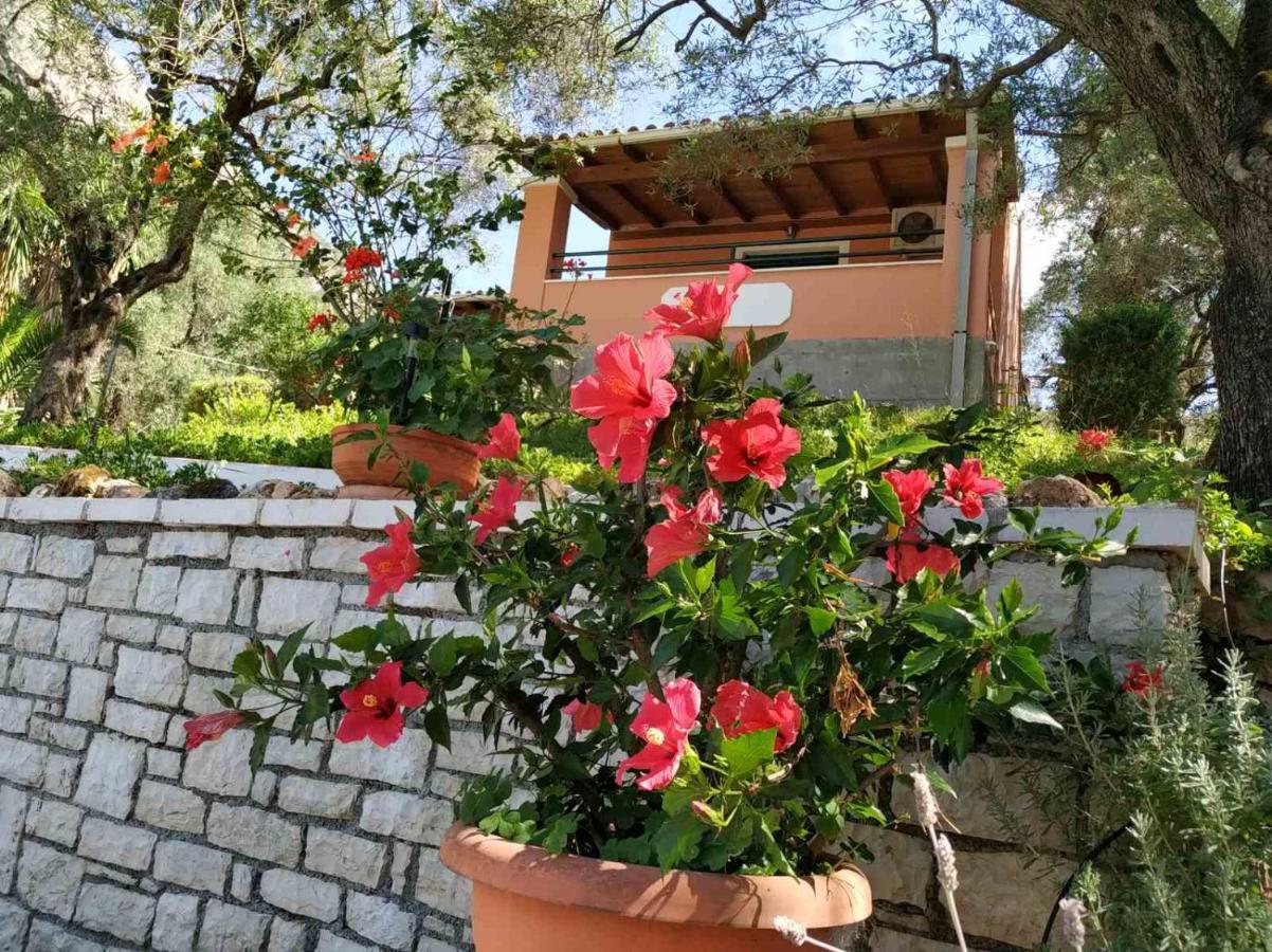Villa Stefanos Apartments By Hotelius Γλύφα Εξωτερικό φωτογραφία