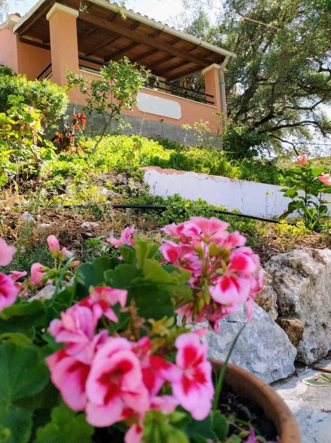 Villa Stefanos Apartments By Hotelius Γλύφα Εξωτερικό φωτογραφία