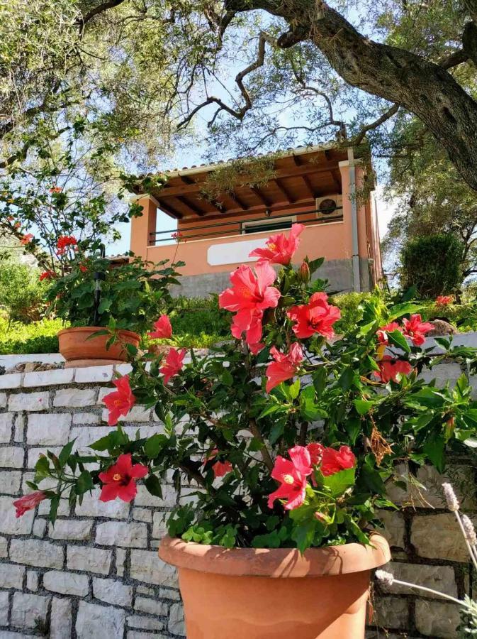 Villa Stefanos Apartments By Hotelius Γλύφα Εξωτερικό φωτογραφία