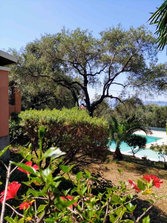 Villa Stefanos Apartments By Hotelius Γλύφα Εξωτερικό φωτογραφία
