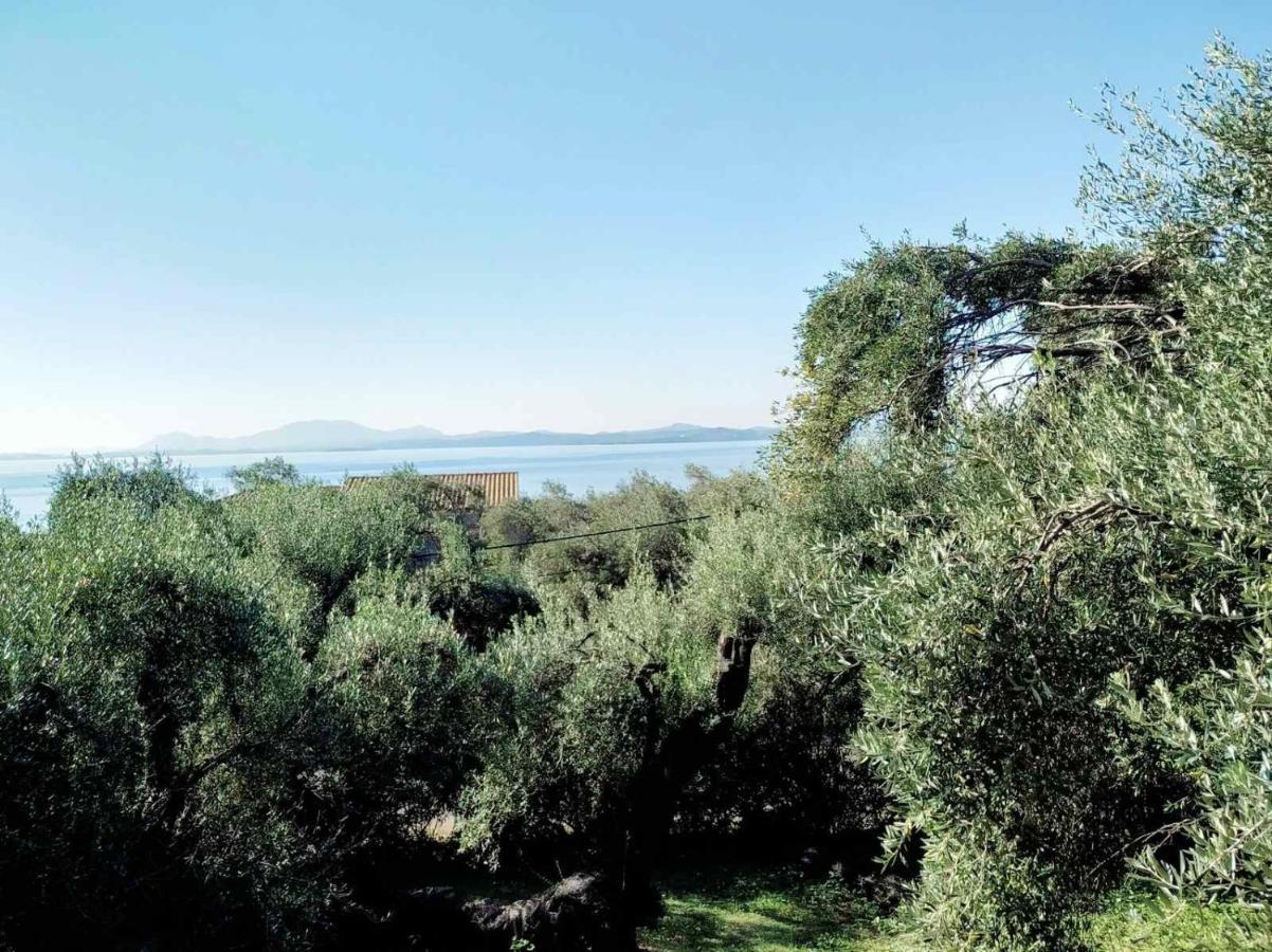 Villa Stefanos Apartments By Hotelius Γλύφα Εξωτερικό φωτογραφία